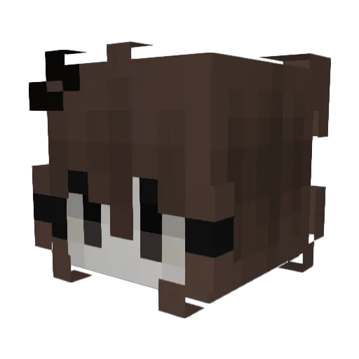 xrawri Minecraft avatar head, 3D render
