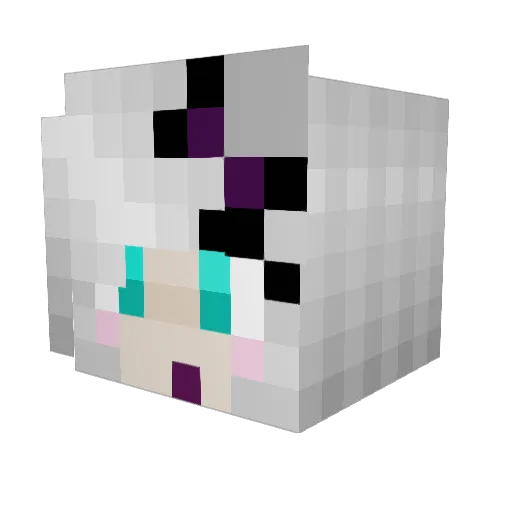 xrawrkittehx Minecraft avatar head, 3D render