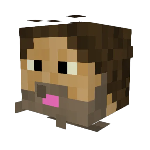 xray04 Minecraft avatar head, 3D render
