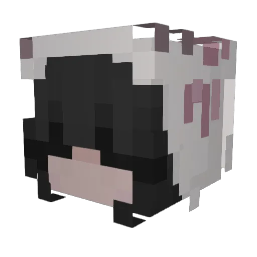 xrcaleynn Minecraft avatar head, 3D render