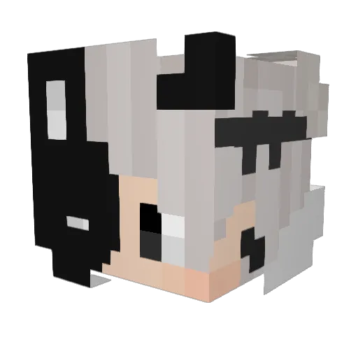 xreTROVAO Minecraft avatar head, 3D render