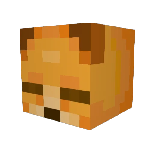 xrisjx Minecraft avatar head, 3D render