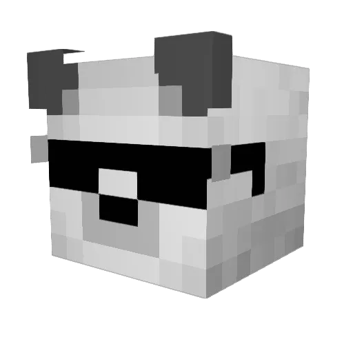 xrncsii Minecraft avatar head, 3D render