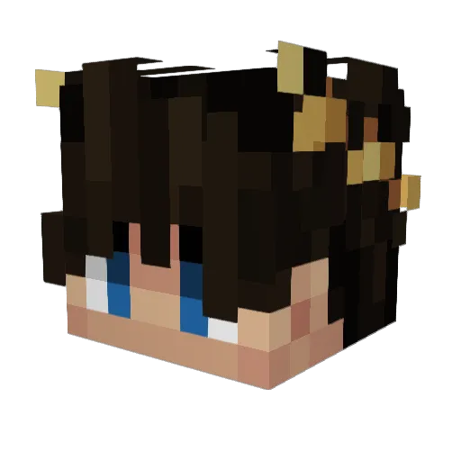 xromzasfunpay Minecraft avatar head, 3D render
