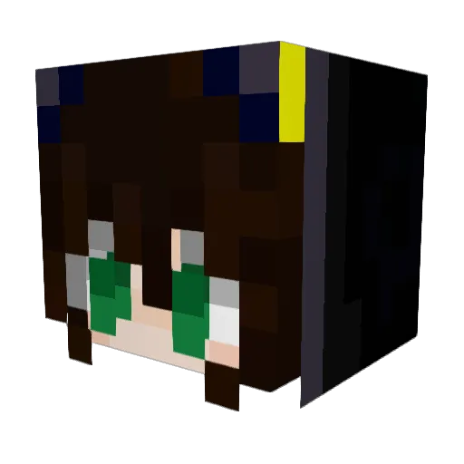 xroni__ Minecraft avatar head, 3D render