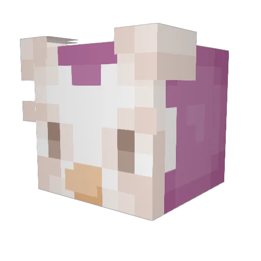 xroshyx Minecraft avatar head, 3D render