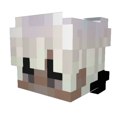 xrycerzyk09xd Minecraft avatar head, 3D render