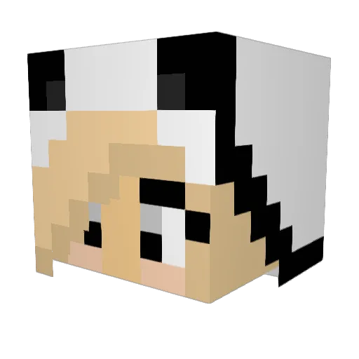 xsMarisa Minecraft avatar head, 3D render