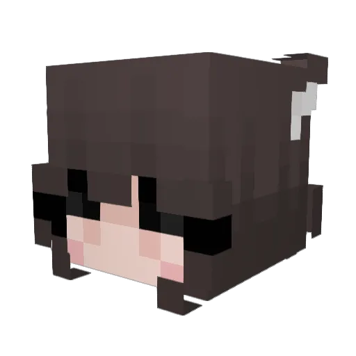 xsabsee Minecraft avatar head, 3D render