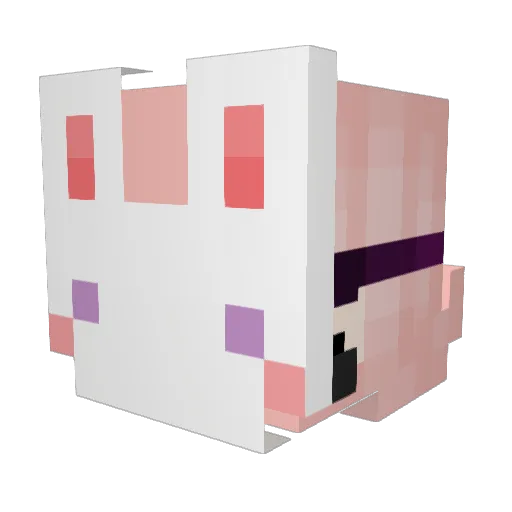 xsarah_09 Minecraft avatar head, 3D render
