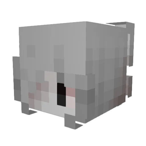 xscxrlxrd Minecraft avatar head, 3D render