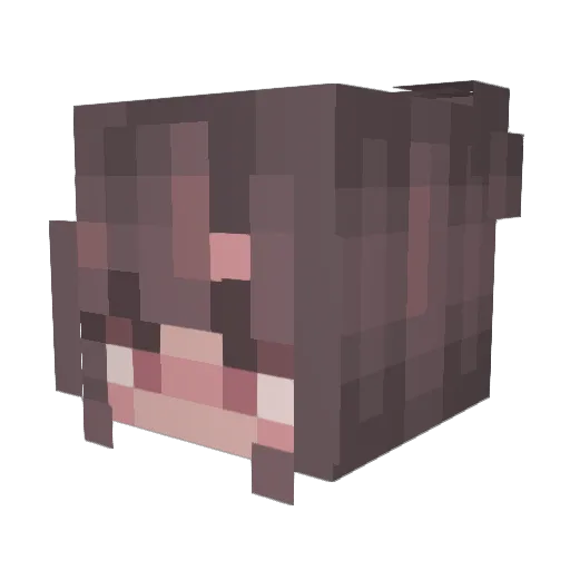 xseapiex Minecraft avatar head, 3D render