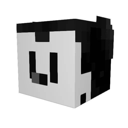 xseb56 Minecraft avatar head, 3D render