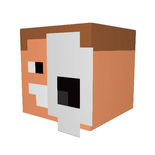xsebooo206 Minecraft avatar head, 3D render