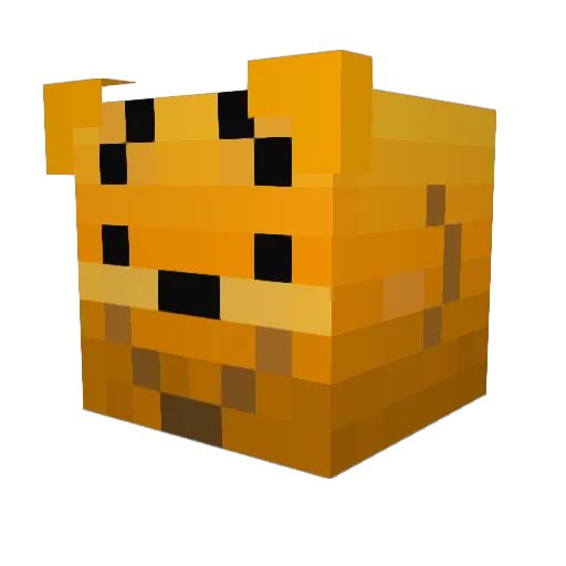 xseno000 Minecraft avatar head, 3D render