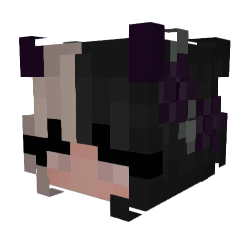 xsgif Minecraft avatar head, 3D render