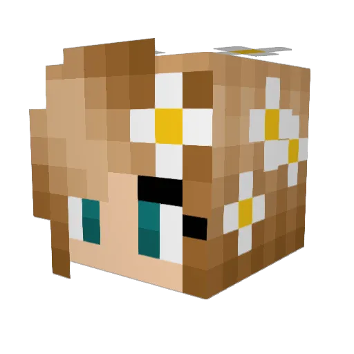 xsharkboy Minecraft avatar head, 3D render