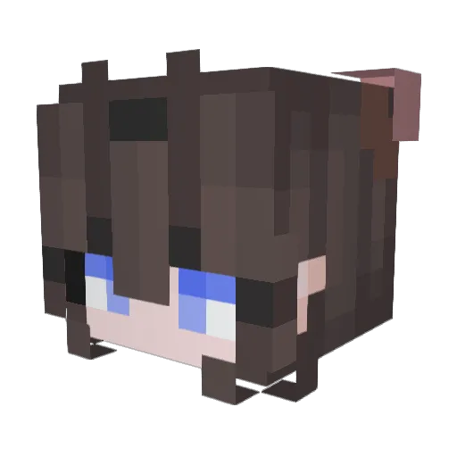 xsjkel Minecraft avatar head, 3D render
