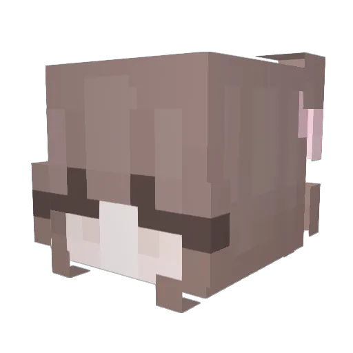 xskin Minecraft avatar head, 3D render