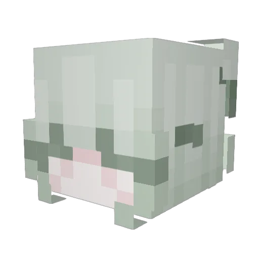 xsmy1234 Minecraft avatar head, 3D render