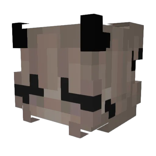 xsnickerzzz Minecraft avatar head, 3D render