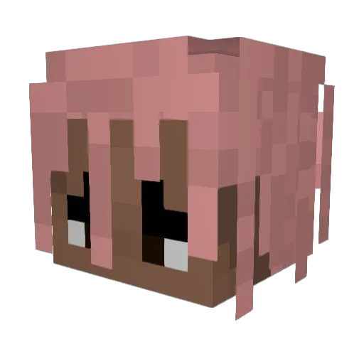 xsoa_ Minecraft avatar head, 3D render