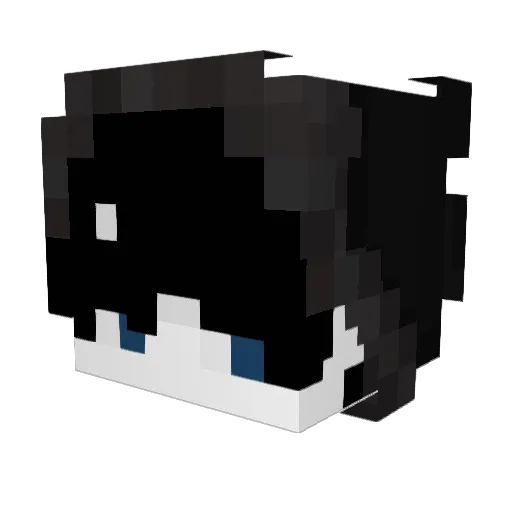 xssp1 Minecraft avatar head, 3D render
