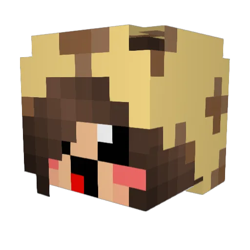 xsteamwolfx Minecraft avatar head, 3D render