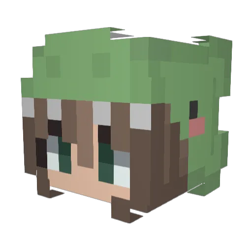 xsteffx Minecraft avatar head, 3D render