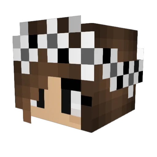 xsunnx Minecraft avatar head, 3D render