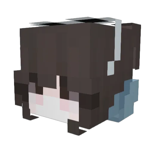 xsz13 Minecraft avatar head, 3D render