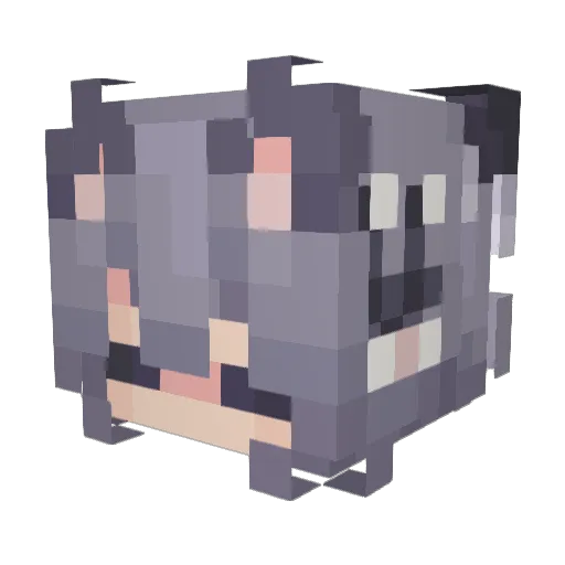xten_tenx Minecraft avatar head, 3D render