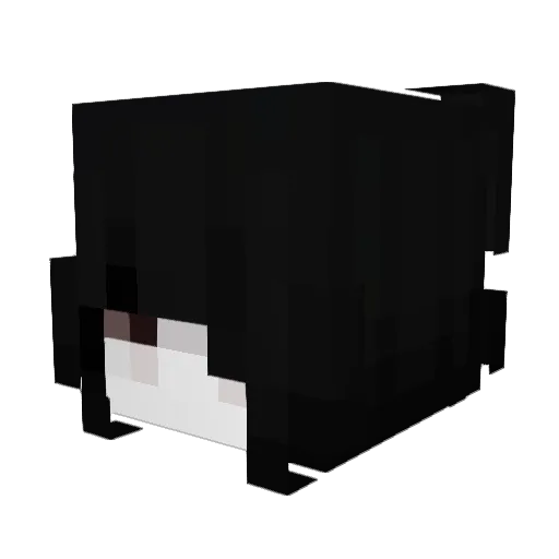 xthn Minecraft avatar head, 3D render