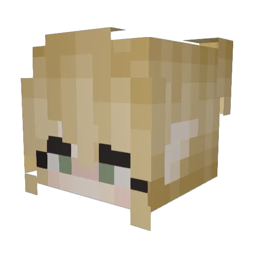 xtilds Minecraft avatar head, 3D render