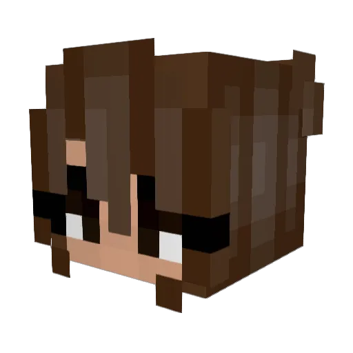 xtinax420 Minecraft avatar head, 3D render