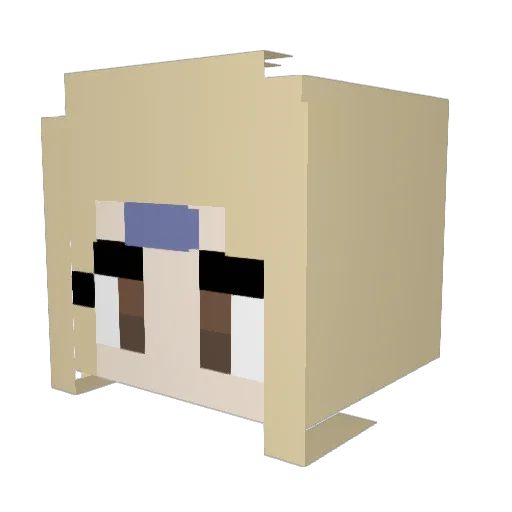xtine1423 Minecraft avatar head, 3D render