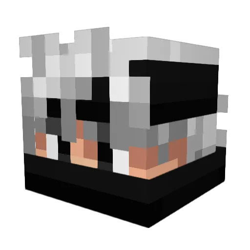 xtop1d Minecraft avatar head, 3D render