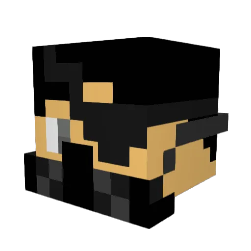 xtoxicxskullx Minecraft avatar head, 3D render