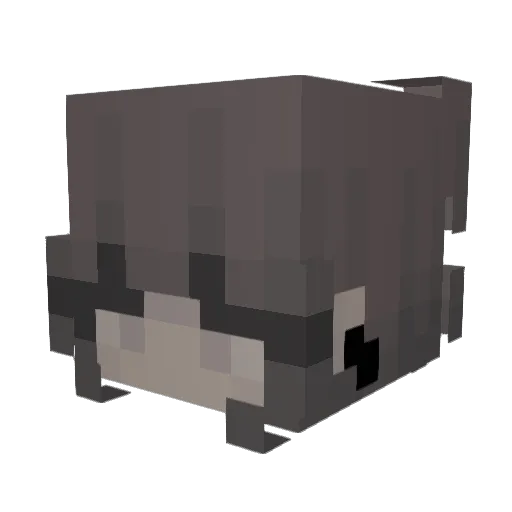 xtoxiqvibes Minecraft avatar head, 3D render