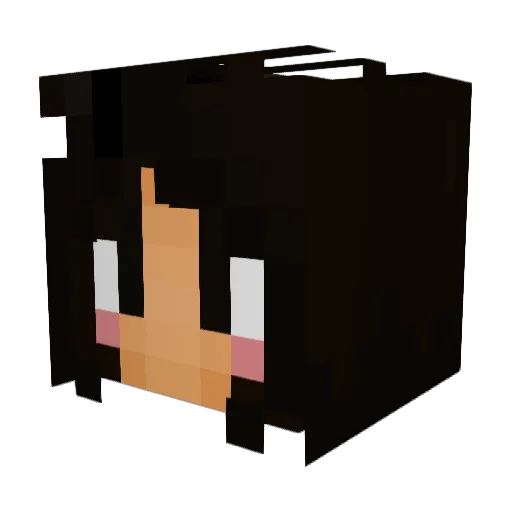 xtqzzz Minecraft avatar head, 3D render