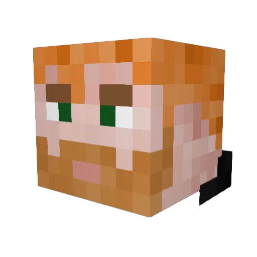 xtr1n0 Minecraft avatar head, 3D render