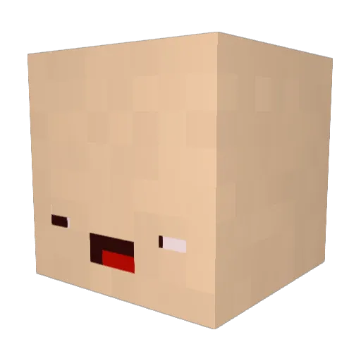 xtracksuit Minecraft avatar head, 3D render