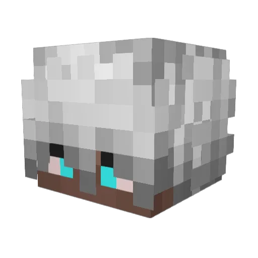 xtraix Minecraft avatar head, 3D render