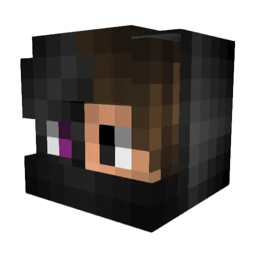 xtramaestro Minecraft avatar head, 3D render