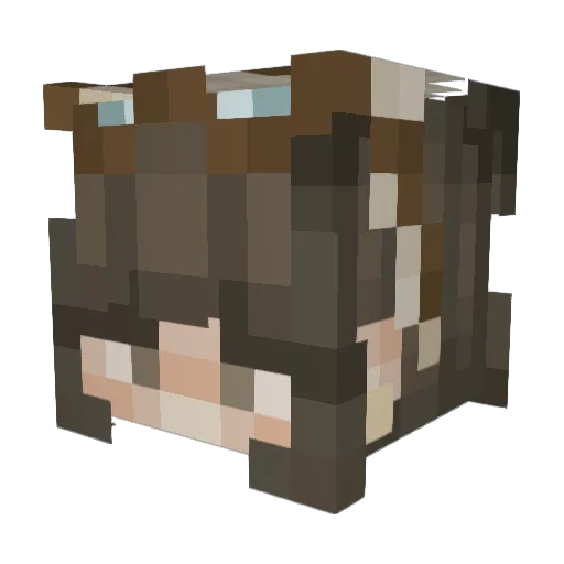 xtreme_goldfish Minecraft avatar head, 3D render