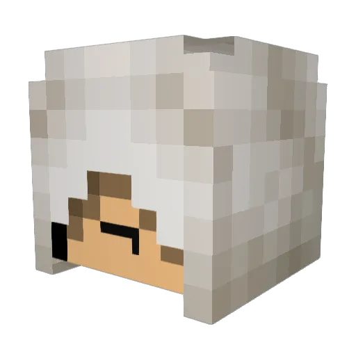 xtremefire736 Minecraft avatar head, 3D render