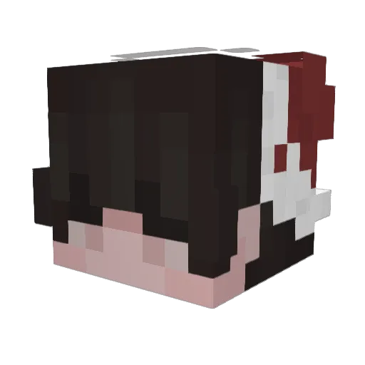 xtzShop Minecraft avatar head, 3D render
