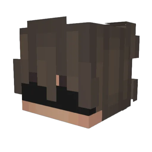xuJonas Minecraft avatar head, 3D render