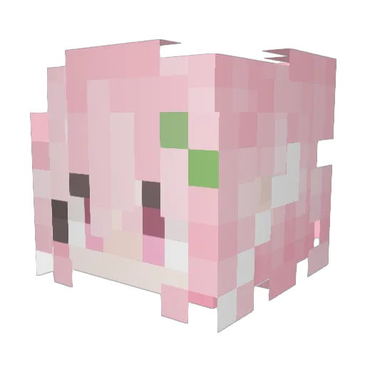 xuan1799 Minecraft avatar head, 3D render