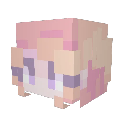 xuanchos Minecraft avatar head, 3D render